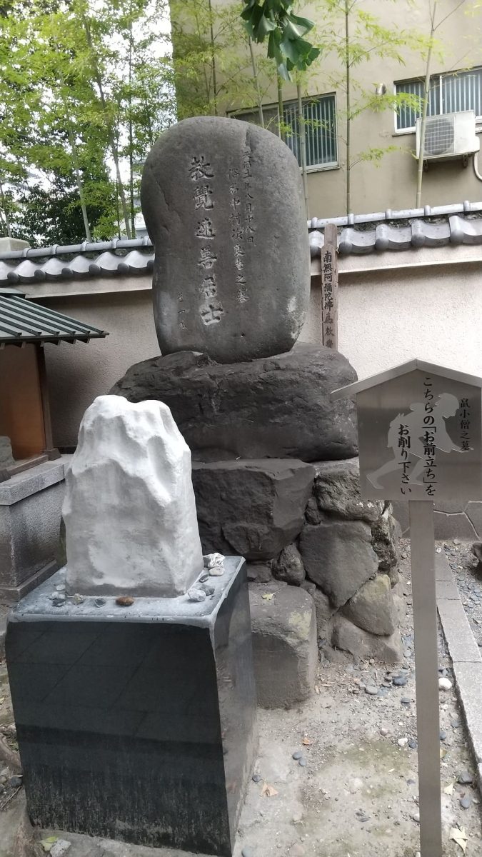 ekoin nezumikozo
