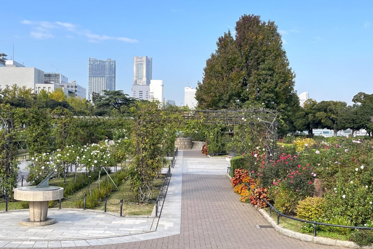 横浜・山下公園の未来のバラ園全景